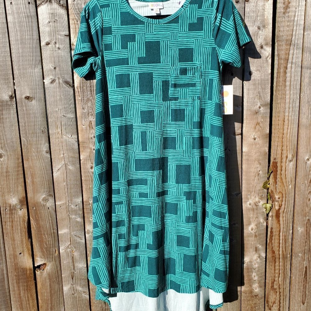 LuLaRoe Carly Dress
